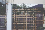 Arbor