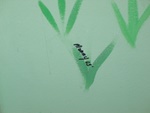 Kid's room