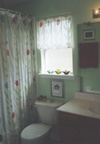 Shower curtain, with flat valance